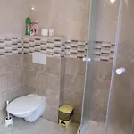 Levandule Jince